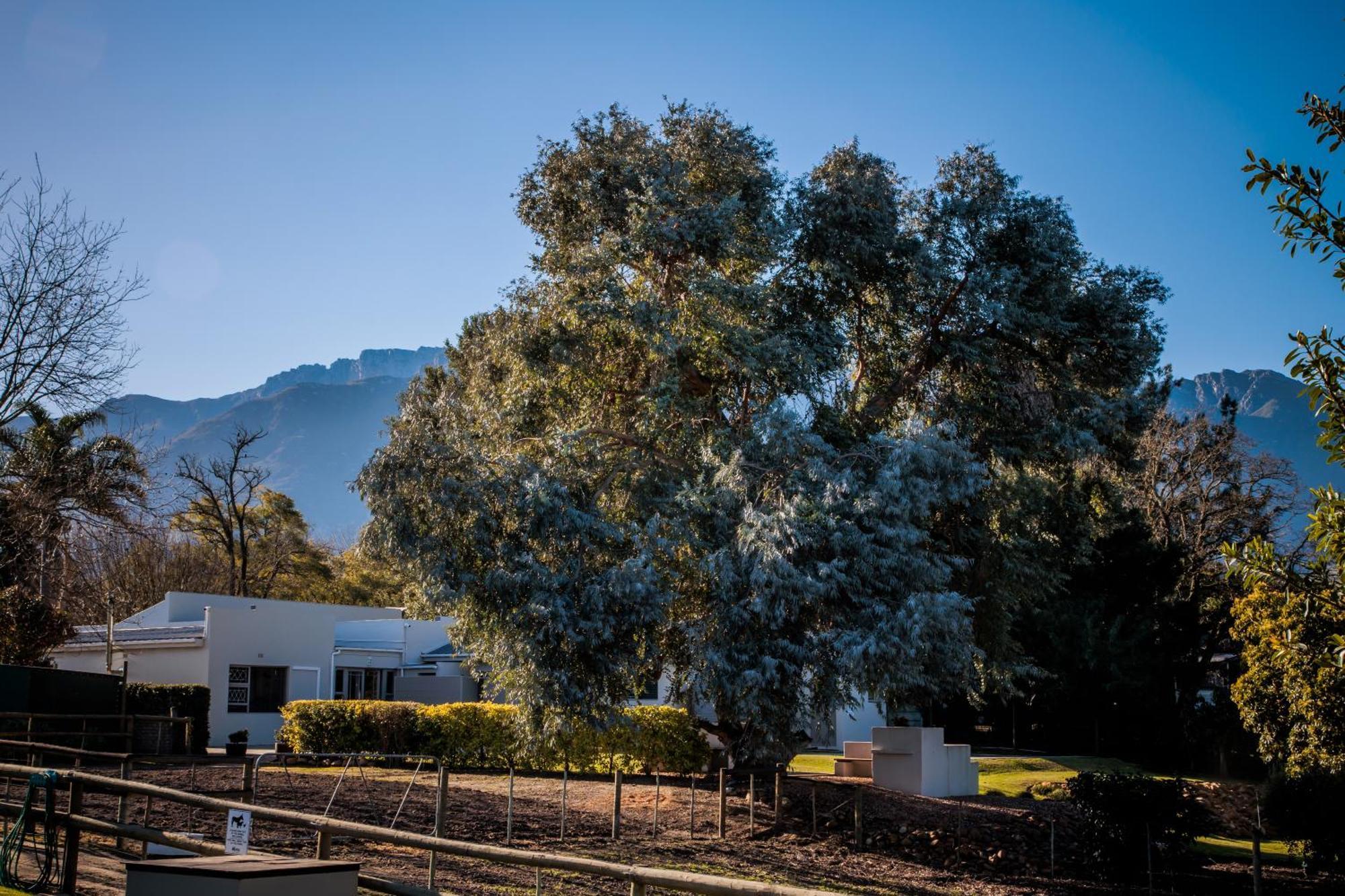 Dolittle Cottages Swellendam Exterior photo